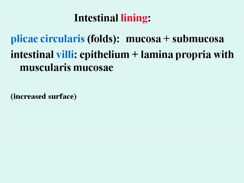 Intestinal lining: plicae circularis (folds):  mucosa + submucosa   intestinal villi: epithelium
